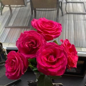 Meet your Posher, Bonnee